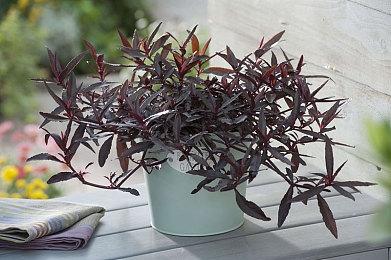 迅雷游戏加速器率先上线《无主之地4》“小地图导航”功能